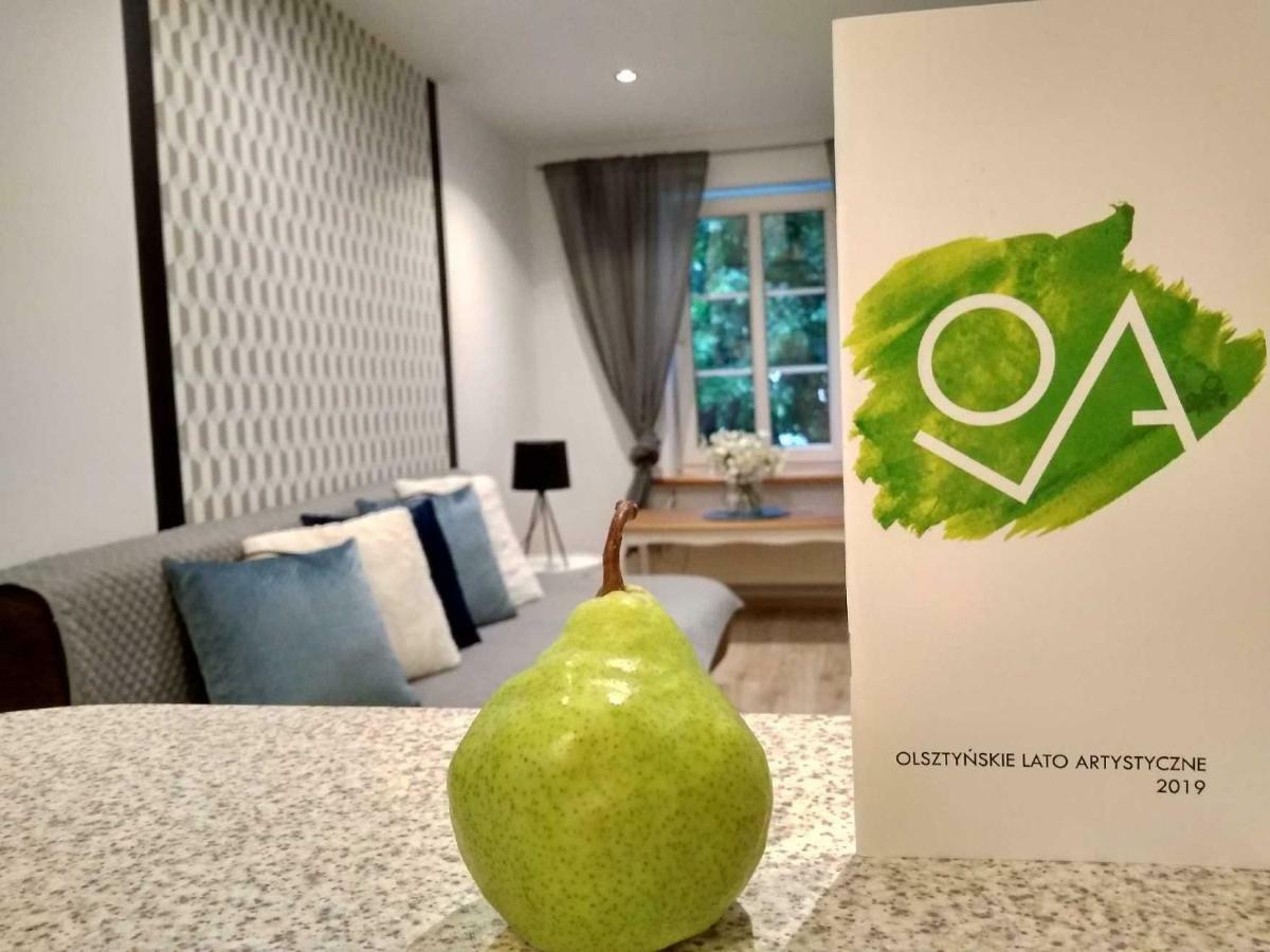 Apartament Przy Wysokiej Bramie Apartment Olsztyn (Warmian-Masurian)